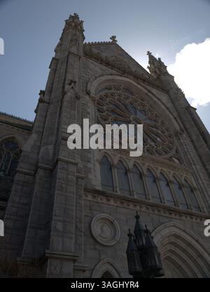 Côté ouest de la Basilica Cathedral of the Sacred Heart à Newark, New Jersey. Ceci une vue de la façade orientée ouest. Banque D'Images
