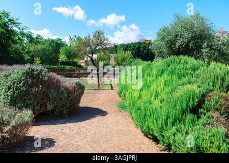 Scène de jardin sereine avec chemin serpentant à travers une végétation luxuriante avec des buissons et des arbres de chaque côté. Chemin mène à travers un éventail vibrant d'arbustes et Banque D'Images