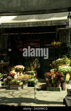 Vue sur la rue d'un charmant magasin de fleurs avec des plantes en pot colorées et des arrangements floraux affichés sur le trottoir. Banque D'Images