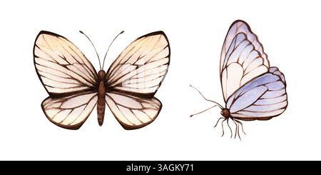 Un ensemble de papillons beige, marron, violet. Illustration d'aquarelle de couleur claire dessinée à la main. Isolé sur blanc Banque D'Images