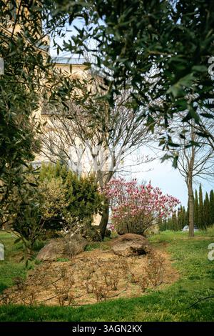 Des fleurs de magnolia roses fleurissent au début du printemps à Tbilissi, en Géorgie, avec le dôme emblématique de la cathédrale de la Sainte Trinité légèrement visible Banque D'Images