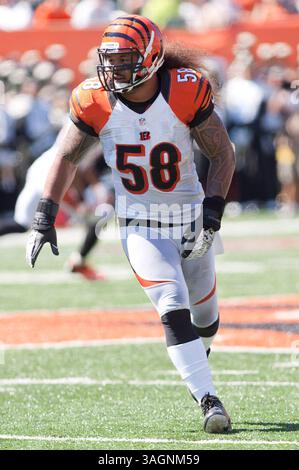 16 septembre 2012 : Ray Maualuga (58), linebacker des Bengals, en action lors du match NFL entre les Browns de Cleveland et les Bengals de Cincinnati au Paul Brown Stadium de Cincinnati, Ohio. L'hôte Bengals a battu les Browns 34-27.(image crédit : © Scott Terna/Cal Sport Media/ZUMAPRESS.com) Banque D'Images