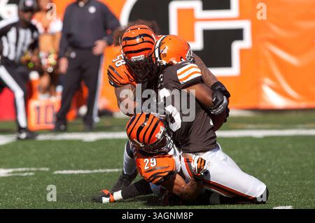 16 septembre 2012 : Ray Maualuga (58 ans) et Leon Hall (29 ans) font tomber les Browns Josh Cribbs (16 ans) lors du match NFL entre les Browns de Cleveland et les Bengals de Cincinnati au Paul Brown Stadium de Cincinnati, Ohio. L'hôte Bengals a battu les Browns 34-27.(image crédit : © Scott Terna/Cal Sport Media/ZUMAPRESS.com) Banque D'Images