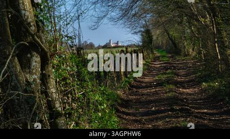 vue en perspective sur un chemin de randonnée dans les bois, en montant, avec une église et un village médiéval au sommet de la colline en arrière-plan Banque D'Images