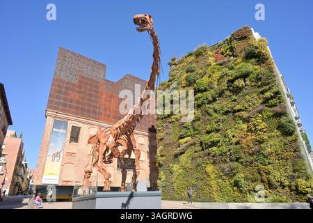 CaixaForum, Dinosaurier Skelett, Patagotitan Mayorum, Paseo del Prado, Madrid, Spanien Banque D'Images