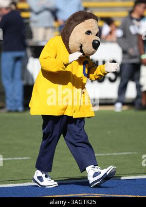 24 octobre 2009 : la mascotte des Golden Bears de Californie Oski lors d'un match de football de la NCAA contre les Cougars de l'État de Washington au Memorial Stadium de Berkeley, EN CALIFORNIE. (Crédit image : © Chris Talley/Cal Sport Media/ZUMA Press) Banque D'Images