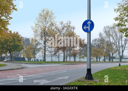 Une route avec un panneau de signalisation bleu indique que les véhicules peuvent aller tout droit ou tourner à gauche. La scène se déroule dans une zone ressemblant à un parc avec des arbres d'automne et du feuillage. Banque D'Images