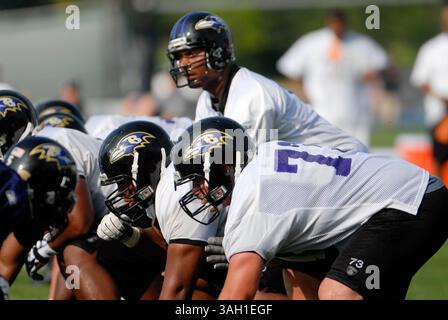 Le quarterback des Ravens de Baltimore Steve McNair avant un clin d’œil lors de la première journée du camp d’entraînement à Westminster, MD. (Crédit image : © PHOTOGRAPHER/Cal Sport Media) Banque D'Images