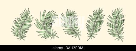 Ensemble de silhouettes vectorielles feuilles de palmier tropicales. Illustration de Vecteur