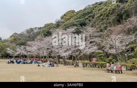 Les gens apprécient l'observation des cerisiers en fleurs (hanami) au jardin Ritsurin à Takamatsu, préfecture de Kagawa, Japon. Banque D'Images