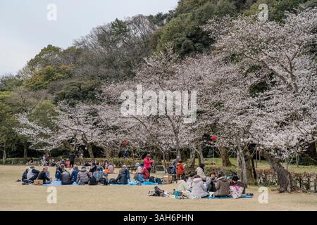 Les gens apprécient l'observation des cerisiers en fleurs (hanami) au jardin Ritsurin à Takamatsu, préfecture de Kagawa, Japon. Banque D'Images