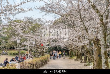 Les gens apprécient l'observation des cerisiers en fleurs (hanami) au jardin Ritsurin à Takamatsu, préfecture de Kagawa, Japon. Banque D'Images