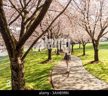 Jeune femme asiatique debout sur un chemin, sous les cerisiers. Herbe verte, fleurs blanches, ombres. Banque D'Images
