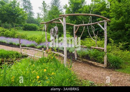 Tonnelle en bois rustique et sentier de paillis bordé de jaune vif Hemerocallis 'Stella de Oro' - fleurs de Daylily, mauve Nepeta - Catmint au début du summe Banque D'Images