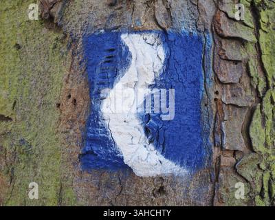 Logo Rheinsteig peint sur un arbre, Siebengebirge, Bonn, Allemagne, Europe Banque D'Images