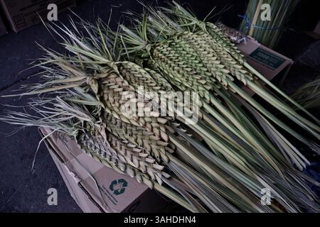 Mexico, CDMX, Mexique. 9 avril 2025. Le marché jamaïcain est célèbre pour ses ventes de fleurs ; cependant, chaque année, il accueille des artisans de Puebla, Guerrero, Oaxaca et Veracruz pour vendre leurs articles religieux faits à la main en palmier. Ces feuilles sont obtenues principalement à partir de la fleur d'hibiscus, qui est séchée après avoir été coupée puis tissée à la main pour créer des figures telles que des croix, des Christs crucifiés, etc Le dimanche des Rameaux est l'une des principales fêtes catholiques qui marque le début de la semaine Sainte ou Semana Santa Credit : Josue Perez/ZUMA Press Wire/ZUMA Wire/Alamy Live News Banque D'Images