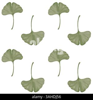 Motif sans couture avec feuilles d'arbre ginkgo. Vert bonne chance part. Plante préhistorique. Illustration aquarelle isolée de l'arrière-plan. Dessiné à la main. Banque D'Images