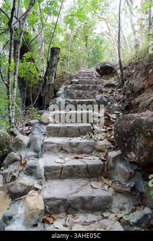 Marches de pierre dans une forêt tropicale avec des arbres à Jourama Falls dans le nord du Queensland, Australie Banque D'Images