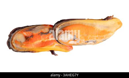 Vue de côté de deux moules vertes cuites dans la viande en tas est isolé sur fond blanc avec chemin de coupe. Banque D'Images