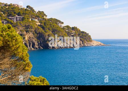 Vue depuis le sentier côtier entre Llafranc et Calella, montrant des falaises accidentées, des pins, des bâtiments, et la mer Méditerranée bleu profond, Costa Brav Banque D'Images