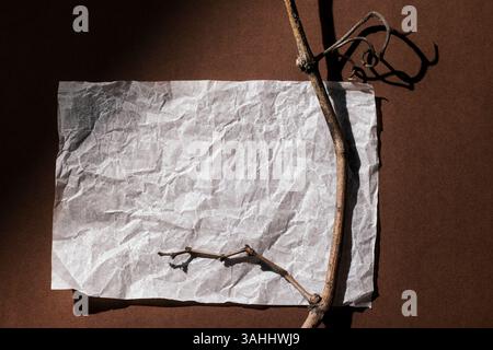 Fond brun chaud avec une feuille de papier blanche et une branche de vigne sèche. Vue de dessus, style minimal confortable dans des couleurs chaudes vintage, espace pour le texte. Banque D'Images