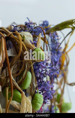 Une collection vibrante de fleurs séchées et de gousses vertes est méticuleusement agencée, mettant en évidence les diverses textures et couleurs des matériaux naturels dans un Banque D'Images