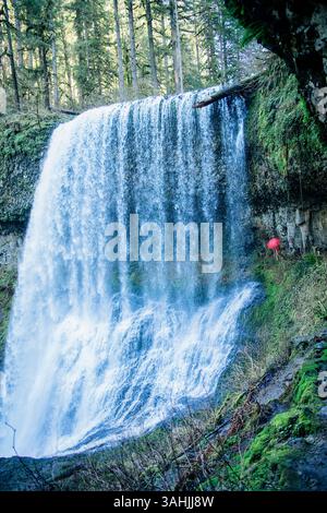 Cascade majestueuse descendant une falaise rocheuse entourée d'une forêt verdoyante. Silver Falls, Oregon, États-Unis Banque D'Images