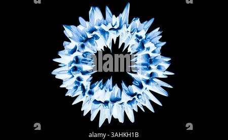 Forme épi circulaire abstraite bleue et blanche sur fond noir ressemblant à un flocon de neige. Illustration 3D du blender Banque D'Images
