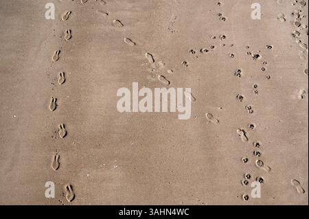 Nord du pays de Galles. Colwyn Bay. Fottprints sur la plage de sable. Banque D'Images
