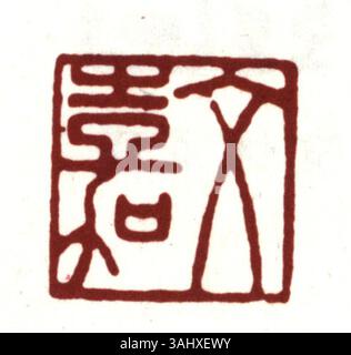Un sceau chinois sculpté avec des caractères chinois simplifié, couramment utilisé dans les cadres personnels et officiels. Le sceau symbolise l'autorité et l'authenticité, souvent fait de matériaux durables comme la pierre ou le jade. Banque D'Images
