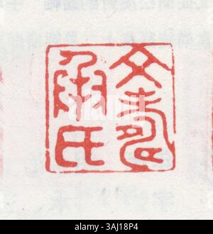 Sceau chinois simplifié comportant des caractères sculptés dans un style traditionnel, souvent utilisé pour marquer des œuvres d'art ou des documents avec une identification personnelle ou officielle. Banque D'Images