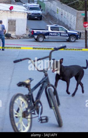Des enquêteurs légistes et des policiers examinent une scène de crime impliquant un véhicule noir à Ciudad Juárez, au Mexique. Banque D'Images