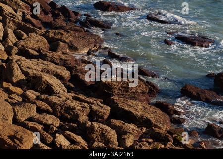 Deux mouettes sont perchées sur des rochers près de la côte, profitant du temps ensoleillé tandis que les vagues s'écrasent autour d'eux Banque D'Images