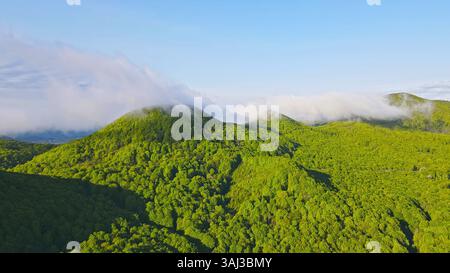 Paysage de montagne verdoyant avec brouillard. Vue aérienne d'une chaîne de montagnes verdoyante couverte d'une forêt dense avec des taches de brume et de brouillard roulant sur Banque D'Images