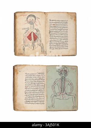 Ce manuscrit persan du XIXe siècle, probablement de Qajar Iran, traite de l'anatomie, en se concentrant sur les muscles et les nerfs. Il comprend deux maqalas et plusieurs illustrations anatomiques, avec 18 diagrammes. Le manuscrit est écrit en écriture nasta'liq, avec des mots surlignés en rouge et quelques folios incomplets. Il est lié dans le maroc brun postérieur et mesure 8¼ x 6½ pouces. Banque D'Images