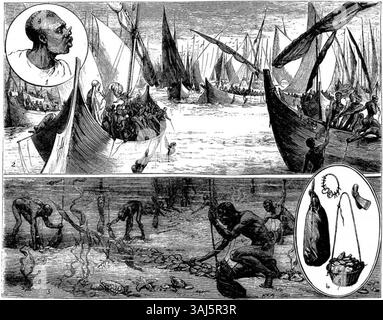 Cette illustration de 1881 dans le graphique montre la pêche perlière dans le golfe Persique. Il représente les plongeurs au travail, la flotte des moustiques au mouillage, et l'appareil utilisé par les plongeurs, offrant un aperçu de l'industrie locale de la plongée perlière. Banque D'Images