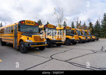 Autobus scolaires dans un parking à Waterloo, ON, Canada Banque D'Images