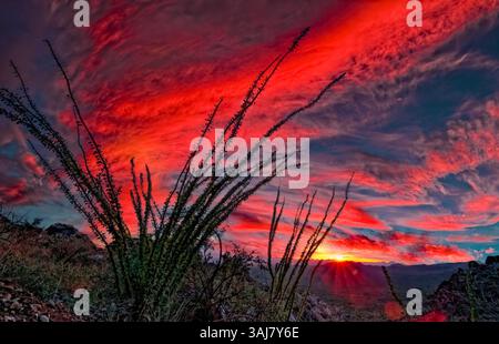 Coucher du soleil à Gates Pass, Saguaro NP, Arizona Banque D'Images