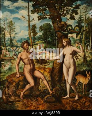 Artiste hollandais anonyme, v. 1550-1560, dépeint la chute de l'homme dans cette peinture à l'huile religieuse sur panneau. Connu pour son rendu dramatique de la scène biblique, il capture le moment de la transgression d'Adam et Eve. L'œuvre est conservée au Bonnefanten Museum. Banque D'Images