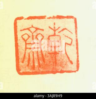 Un sceau chinois simplifié est un timbre traditionnel utilisé à des fins personnelles ou officielles, généralement en pierre, en bois ou en métal. Il comporte des caractères chinois simplifiés et est utilisé pour marquer des documents ou des œuvres d'art, symbolisant l'authenticité et l'autorité. Banque D'Images