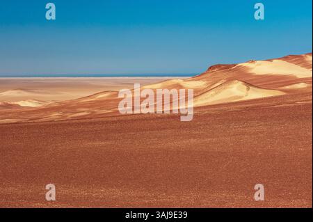 Dunes de sable sur la Skeleton Coast, Namibie, Kunene, Skeleton Coast National Park Banque D'Images