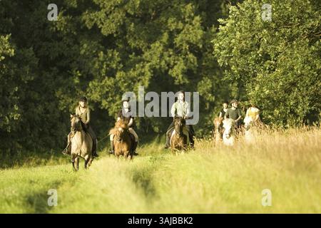 Jeunes cavaliers en balade dans les prairies autour de Moritzburg, Moritzburg, Saxe, Allemagne, Europe Banque D'Images