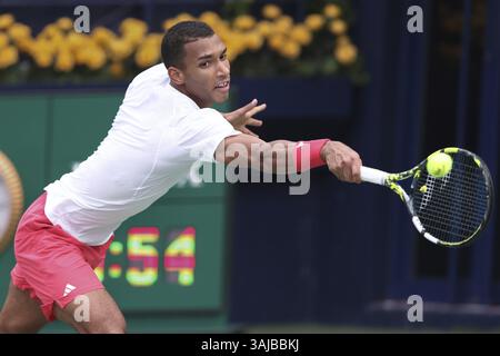 Felix Auger-Aliassime (CAN), Dubaï Duty Free Tennis Championships, Dubaï, U.A.E. Tennis - Dubaï Tennis Championships 2025 - Dubaï - ATP 500 - Dubaï du Banque D'Images