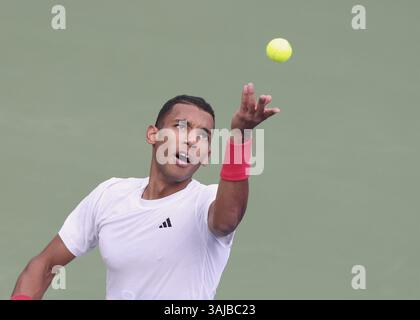 Felix Auger-Aliassime (CAN), Dubaï Duty Free Tennis Championships, Dubaï, U.A.E. Tennis - Dubaï Tennis Championships 2025 - Dubaï - ATP 500 - Dubaï du Banque D'Images