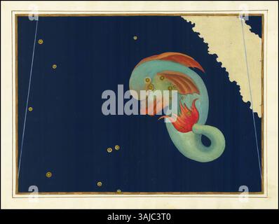 La carte de Delphinus de Johann Bayer, petite constellation dans le ciel septentrional, en 1603, est l'une de ses nombreuses contributions à la cartographie céleste moderne. Cette représentation se concentre sur les étoiles à l'intérieur de Delphinus. Banque D'Images