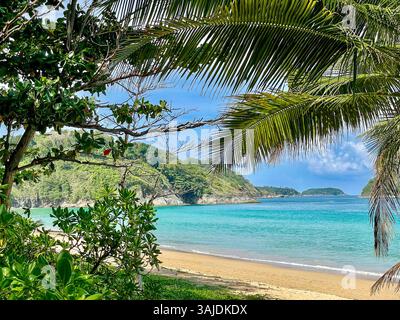 Une plage tropicale à couper le souffle encadrée par un feuillage vert luxuriant et des palmiers. Le sable doré rencontre l'eau turquoise, créant un cadre paisible et idyllique Banque D'Images