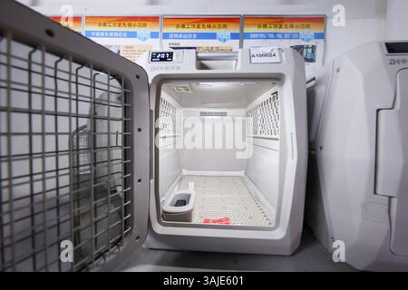 Pékin, Chine.10th avril 2025. Vue d'un conteneur ferroviaire à grande vitesse exclusif pour animaux de compagnie le 10 avril 2025 à Pékin, en Chine. L'opérateur ferroviaire chinois a lancé le 8 avril un programme pilote permettant aux animaux de compagnie de voyager sur certains trains à grande vitesse le long du chemin de fer à grande vitesse Pékin-Shanghai, marquant une première pour le système ferroviaire du pays. Les animaux de compagnie sont placés dans des conteneurs à grande vitesse exclusivement ferroviaires équipés de capteurs de circulation d'air, d'oxygène et d'humidité, de réduction du bruit et de contrôle des odeurs. Crédit : Jia Tianyong/China News Service/Alamy Live News Banque D'Images