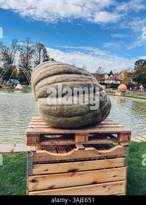 Une grande citrouille est assise sur une caisse en bois devant un étang. La scène est paisible et sereine, la citrouille étant le point focal de l'image Banque D'Images