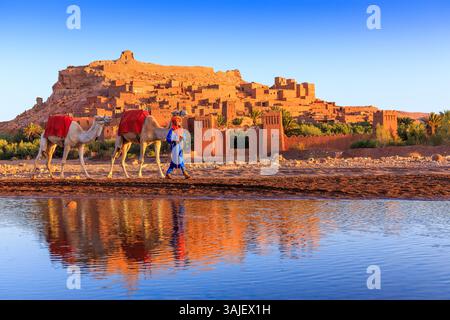 Ait Benhaddou, Maroc - 15 mars 2024 : célèbre ksar ait Ben-Haddou dans la province de Ouarzazate et berbère avec des chameaux. Montagnes de l'Atlas, Afrique du Nord. Banque D'Images