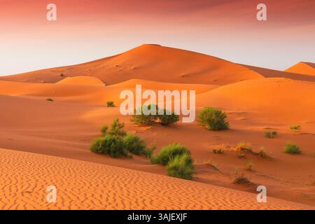 Merzouga, Maroc. Dunes de sable ERG Chebbi au coucher du soleil dans le désert du Sahara, Afrique du Nord. Banque D'Images